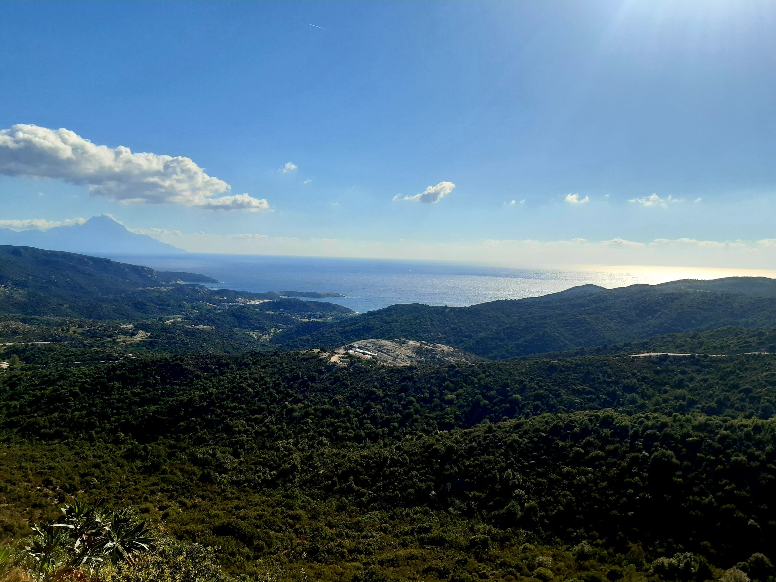 Read more about the article Autismus und Begleiterkrankungen: Was Sie wissen sollten