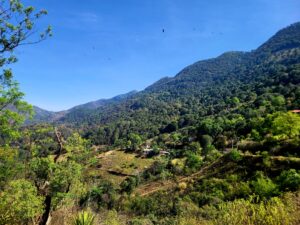 Autismus und ADHS gemeinsam: Warum sich beides so häufig überschneidet – eine Erklärung