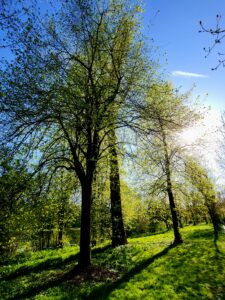 Blogreihe: Fragen rund um Autismus – Teil 2: Erwachsene Betroffene