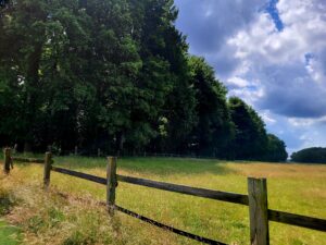 Warum klassische Therapie bei Menschen im Autismus-Spektrum oft nicht hilft