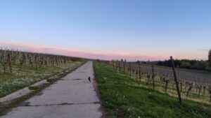 Diagnostik bei Erwachsenen im Autismus-Spektrum – Wege, Fragen und Entscheidungen