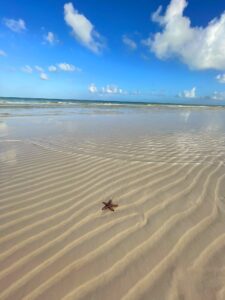 Autismus-Diagnose im Erwachsenenalter: Zwischen Erleichterung und Trauer