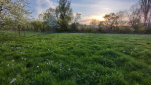 Nervensystem regulieren bei Autismus: 7 Methoden gegen Reizüberflutung und Stress